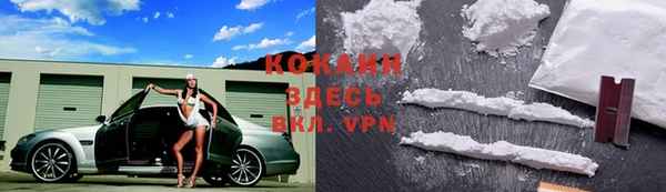 дмт Верея