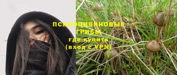 дмт Верея