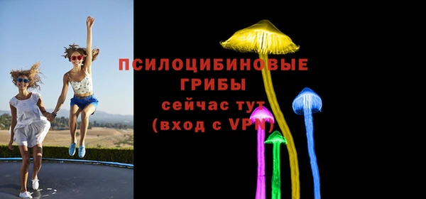 дмт Верея